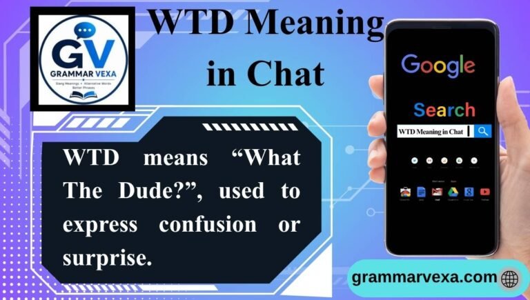 WTD Meaning in Chat