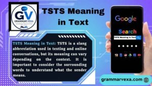 TSTS Meaning in Text