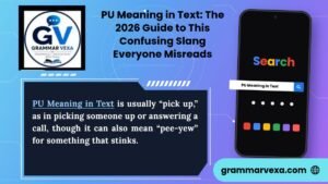 PU Meaning in Text The 2026 Guide to This Confusing Slang Everyone Misreads
